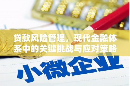 泰山贷款风险管理，现代金融体系中的关键挑战与应对策略