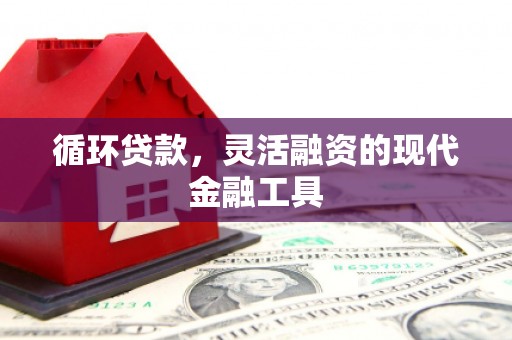 泰山循环贷款，灵活融资的现代金融工具