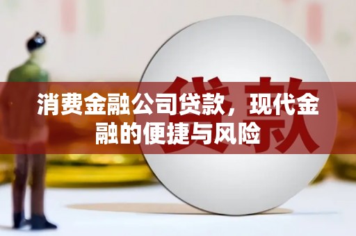 泰山消费金融公司贷款，现代金融的便捷与风险
