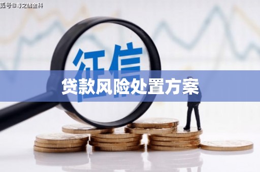 泰山贷款风险处置方案