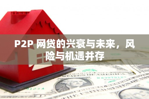 泰山P2P 网贷的兴衰与未来，风险与机遇并存