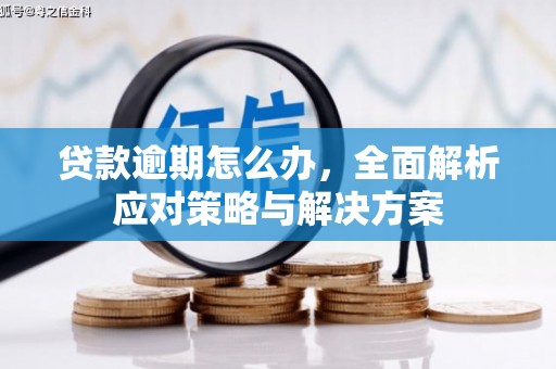 泰山贷款逾期怎么办，全面解析应对策略与解决方案