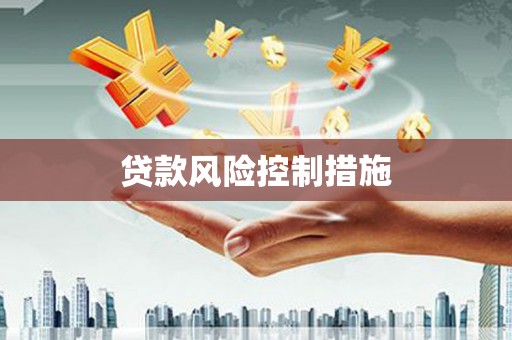 泰山贷款风险控制措施