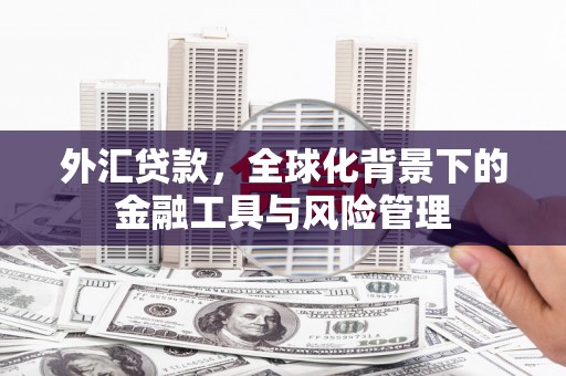 泰山外汇贷款，全球化背景下的金融工具与风险管理