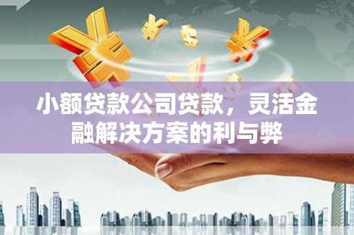 泰山小额贷款公司贷款，灵活金融解决方案的利与弊