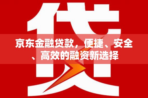 泰山京东金融贷款，便捷、安全、高效的融资新选择