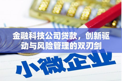 泰山金融科技公司贷款，创新驱动与风险管理的双刃剑