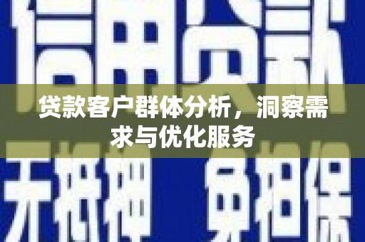 泰山贷款客户群体分析，洞察需求与优化服务